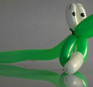 Beginners Guide for Creating a Simple Balloon Snake Animal